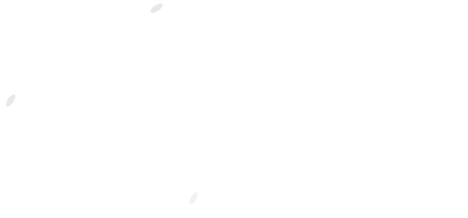 ChemFusion